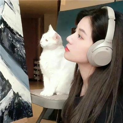异域雄鹰